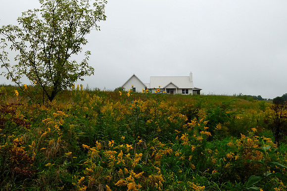 Gray with a touch of yellow