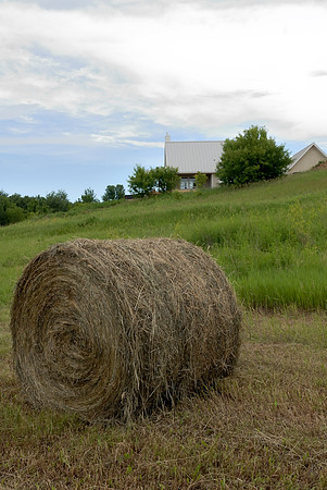 Waterways were mowed and bailed this week