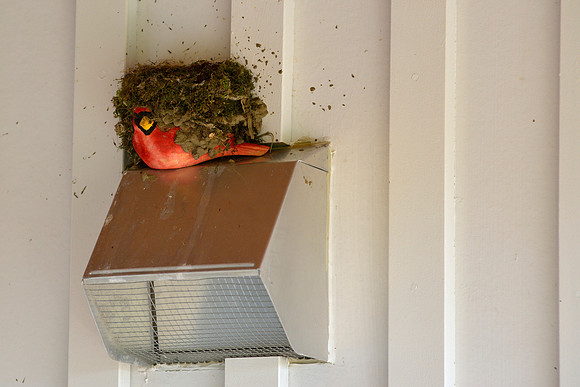 This worked to keep the nesting barn swallows away last year. The phoebes weren't fooled this year.