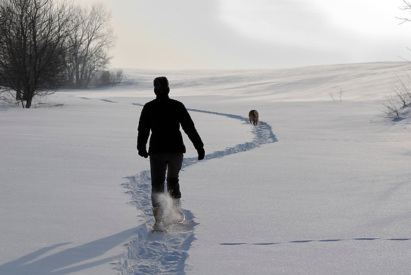 Snowshoeing in the backyard