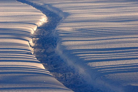 Snowshoe trail