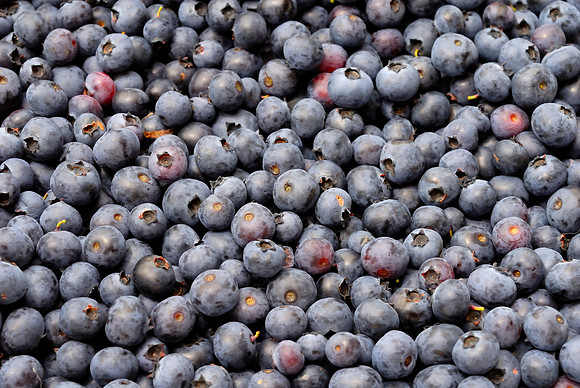Berry booty