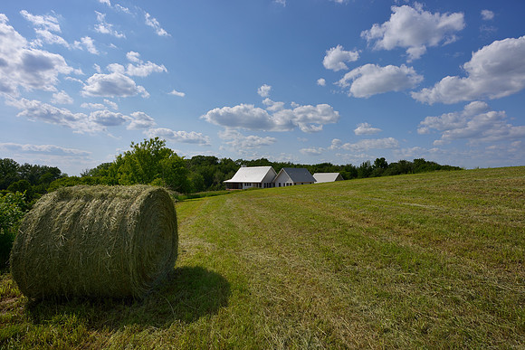 New-mown hay!